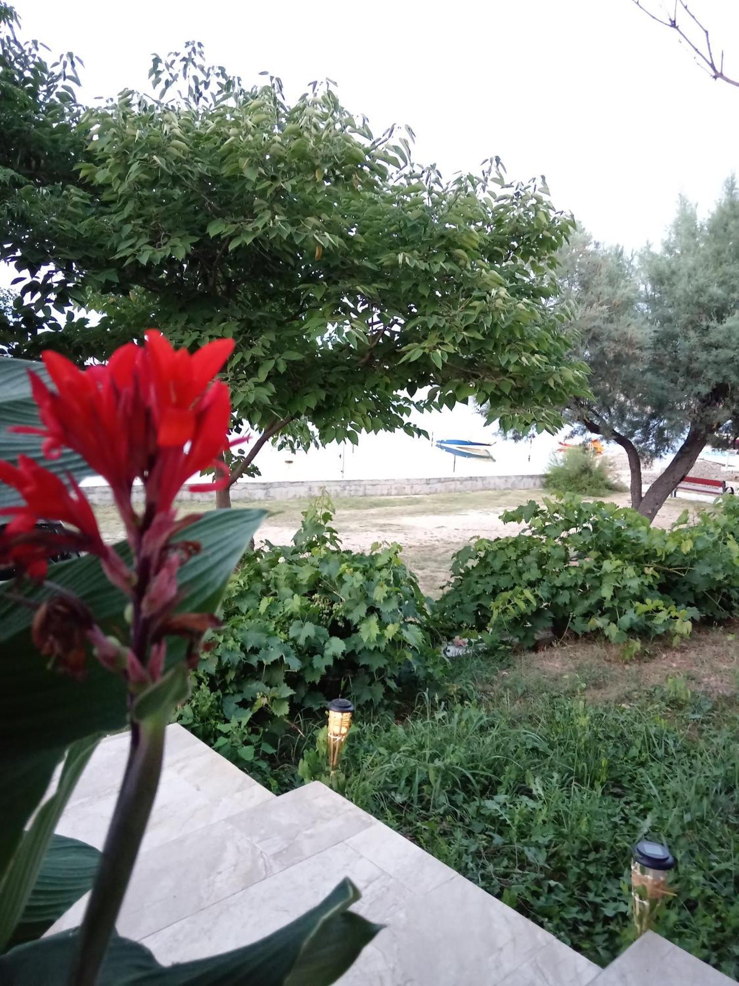 Seaview Holiday Apartments, Ventura Nin Exterior foto